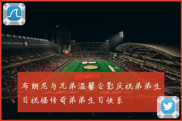 布朗尼与兄弟温馨合影庆祝弟弟生日祝福传奇弟弟生日快乐