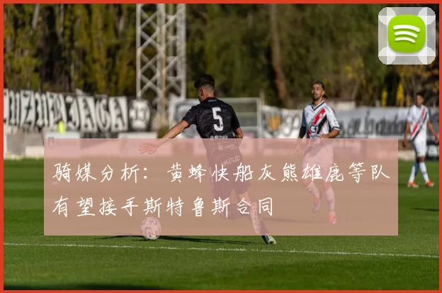 骑媒分析：黄蜂快船灰熊雄鹿等队有望接手斯特鲁斯合同