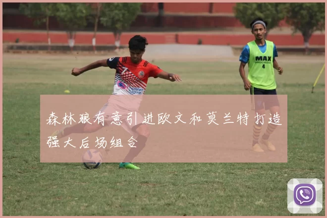 森林狼有意引进欧文和莫兰特打造强大后场组合